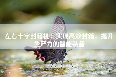 左右十字封箱机：实现高效封箱，提升生产力的智能装备