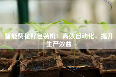 智能葵花籽包装机：高效自动化，提升生产效益