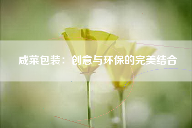 咸菜包装：创意与环保的完美结合