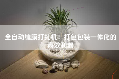 全自动缠膜打扎机：打包包装一体化的高效利器