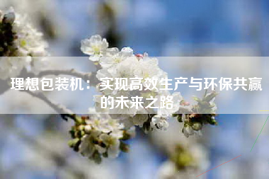 理想包装机：实现高效生产与环保共赢的未来之路