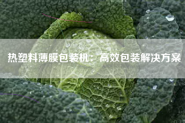 热塑料薄膜包装机：高效包装解决方案