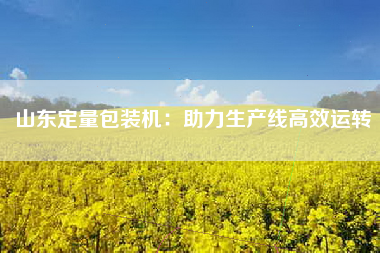 山东定量包装机：助力生产线高效运转