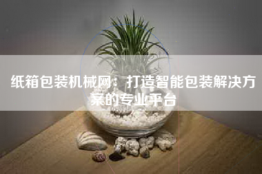 纸箱包装机械网：打造智能包装解决方案的专业平台