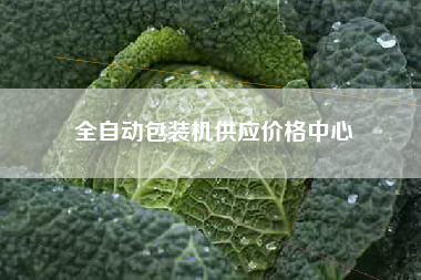 全自动包装机供应价格中心