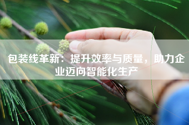 包装线革新：提升效率与质量，助力企业迈向智能化生产