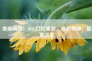 美丽诱惑：MAC口红盒装，色彩绚丽，唇膏之王