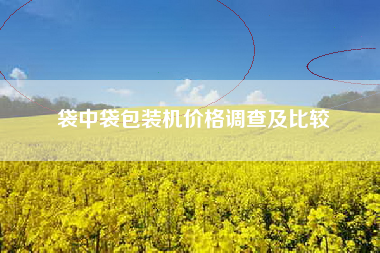 袋中袋包装机价格调查及比较