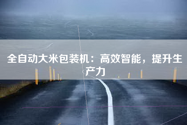 全自动大米包装机：高效智能，提升生产力