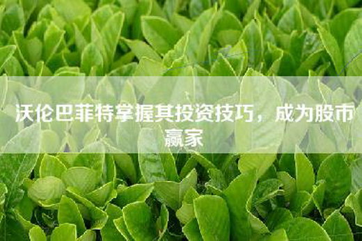 沃伦巴菲特掌握其投资技巧，成为股市赢家