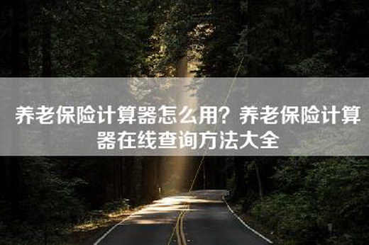 养老保险计算器怎么用？养老保险计算器在线查询方法大全