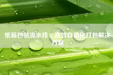 纸箱包装流水线：高效自动化打包解决方案