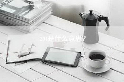 204是什么意思？