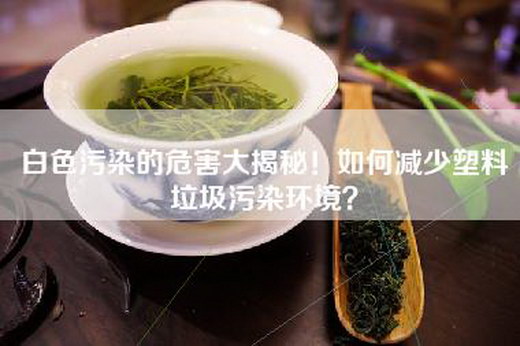 白色污染的危害大揭秘！如何减少塑料垃圾污染环境？