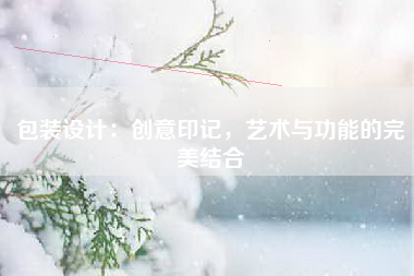 包装设计：创意印记，艺术与功能的完美结合