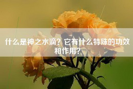 什么是神之水滴？它有什么特殊的功效和作用？