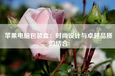 苹果电脑包装盒：时尚设计与卓越品质的结合