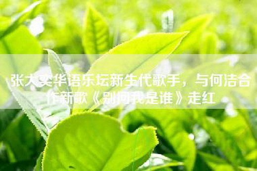 张大奕华语乐坛新生代歌手，与何洁合作新歌《别问我是谁》走红