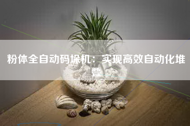 粉体全自动码垛机：实现高效自动化堆叠