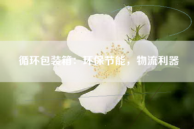 循环包装箱：环保节能，物流利器