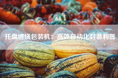 托盘缠绕包装机：高效自动化封装利器