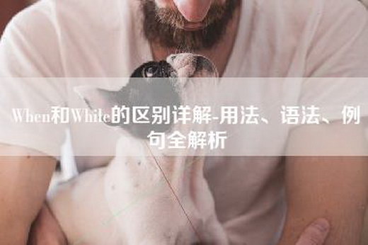 When和While的区别详解-用法、语法、例句全解析