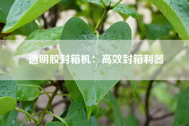 透明胶封箱机：高效封箱利器