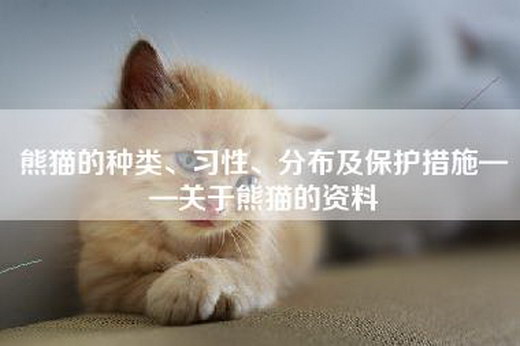 熊猫的种类、习性、分布及保护措施——关于熊猫的资料