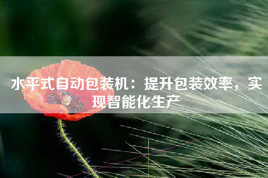 水平式自动包装机：提升包装效率，实现智能化生产