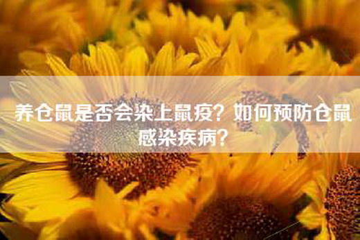 养仓鼠是否会染上鼠疫？如何预防仓鼠感染疾病？