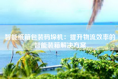 智能纸箱包装码垛机：提升物流效率的智能装箱解决方案