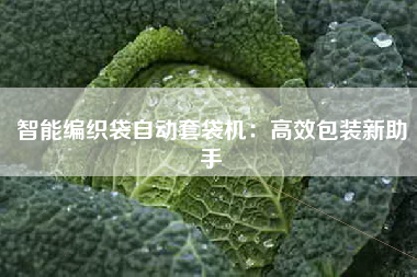 智能编织袋自动套袋机：高效包装新助手