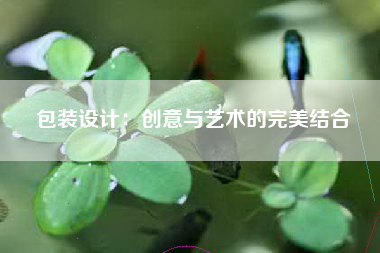 包装设计：创意与艺术的完美结合