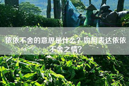 依依不舍的意思是什么？如何表达依依不舍之情？