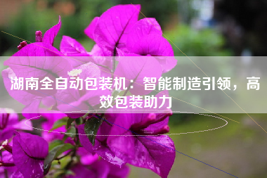 湖南全自动包装机：智能制造引领，高效包装助力