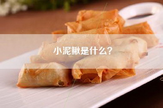 小泥鳅是什么？