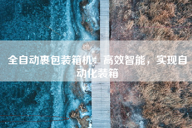 全自动裹包装箱机：高效智能，实现自动化装箱