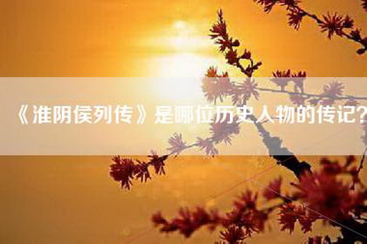 《淮阴侯列传》是哪位历史人物的传记？