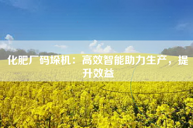 化肥厂码垛机：高效智能助力生产，提升效益