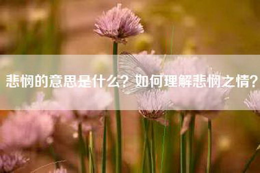 悲悯的意思是什么？如何理解悲悯之情？