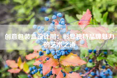 创意包装盒设计图：彰显独特品牌魅力的艺术之道