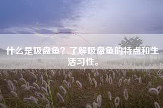 什么是吸盘鱼？了解吸盘鱼的特点和生活习性。