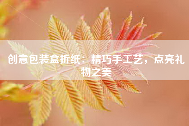 创意包装盒折纸：精巧手工艺，点亮礼物之美