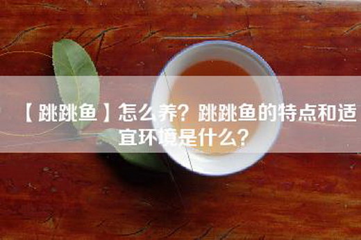 【跳跳鱼】怎么养？跳跳鱼的特点和适宜环境是什么？