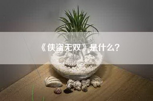 《侠盗无双》是什么？