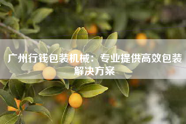 广州行钱包装机械：专业提供高效包装解决方案