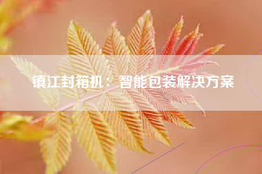 镇江封箱机：智能包装解决方案