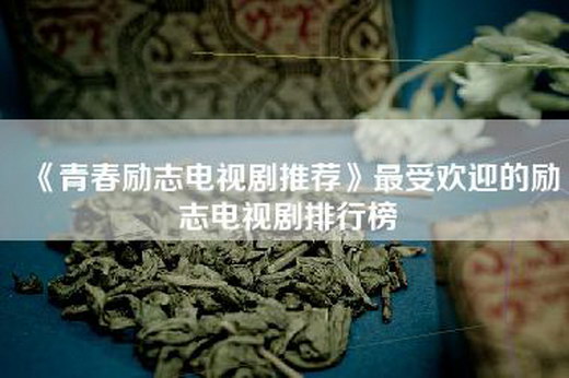 《青春励志电视剧推荐》最受欢迎的励志电视剧排行榜