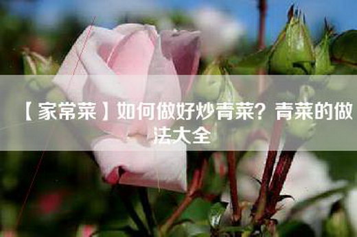 【家常菜】如何做好炒青菜？青菜的做法大全