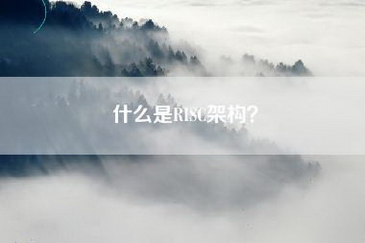 什么是RISC架构？